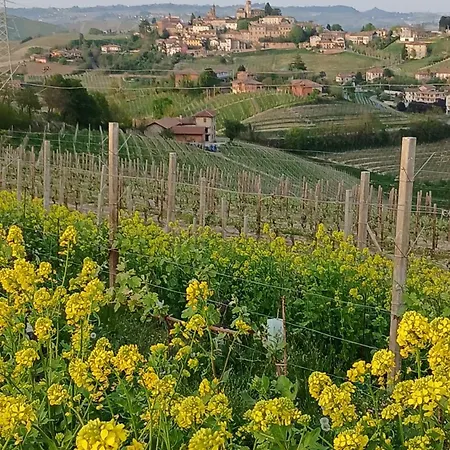 I Quattro Grappoli-2
